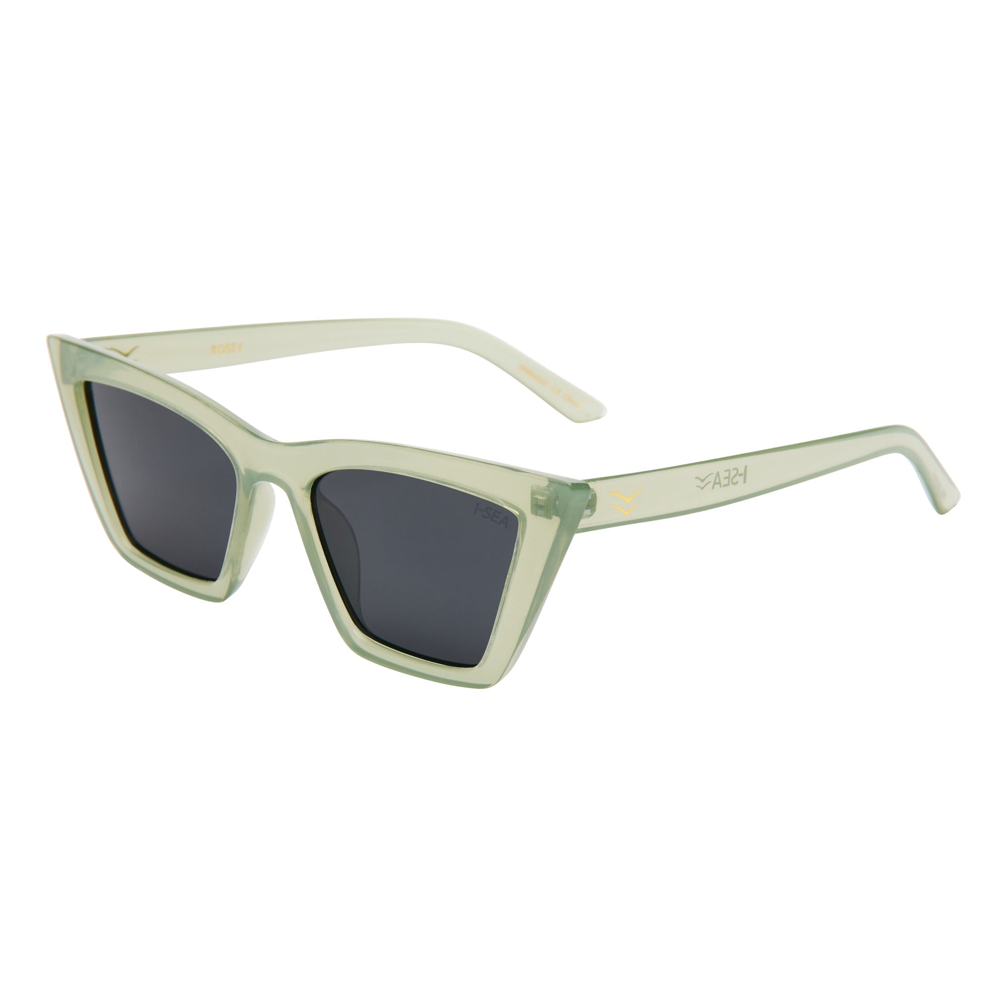 #color_cactus-brown-polarized-lens