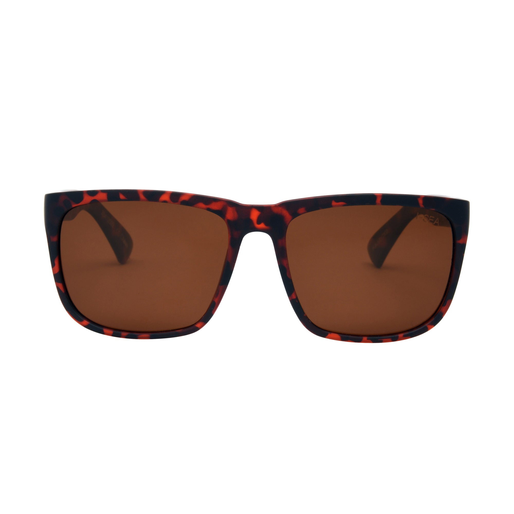 #color_tort-brown-polarized-lens