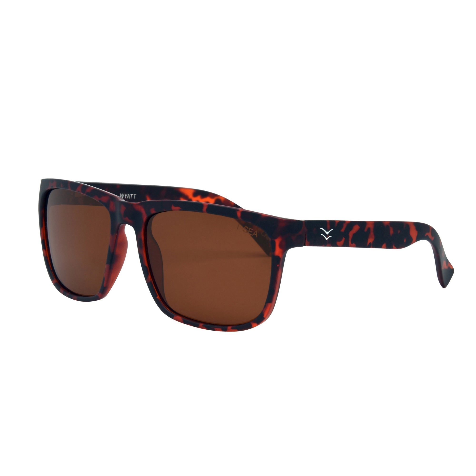 #color_tort-brown-polarized-lens