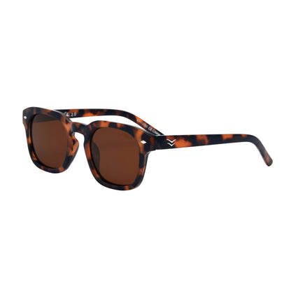 #color_tort-brown-polarized-lens